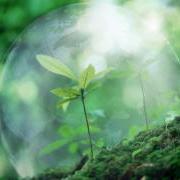 Всемирный день окружающей среды